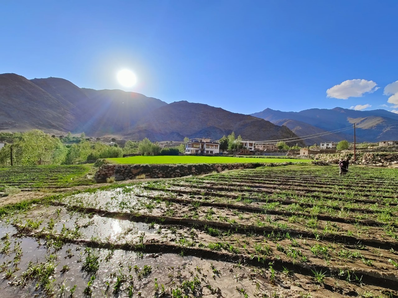 Himalayan landscape